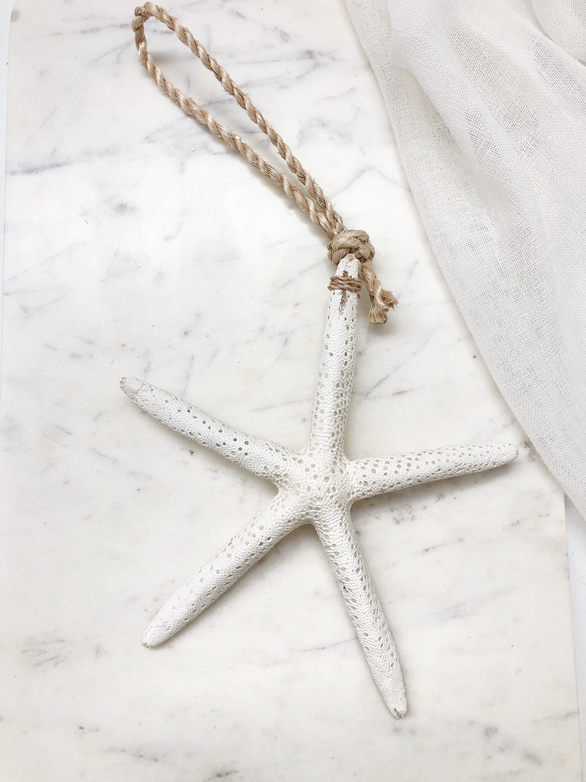 Large Starfish Hanging Christmas Tree Wall Decor
