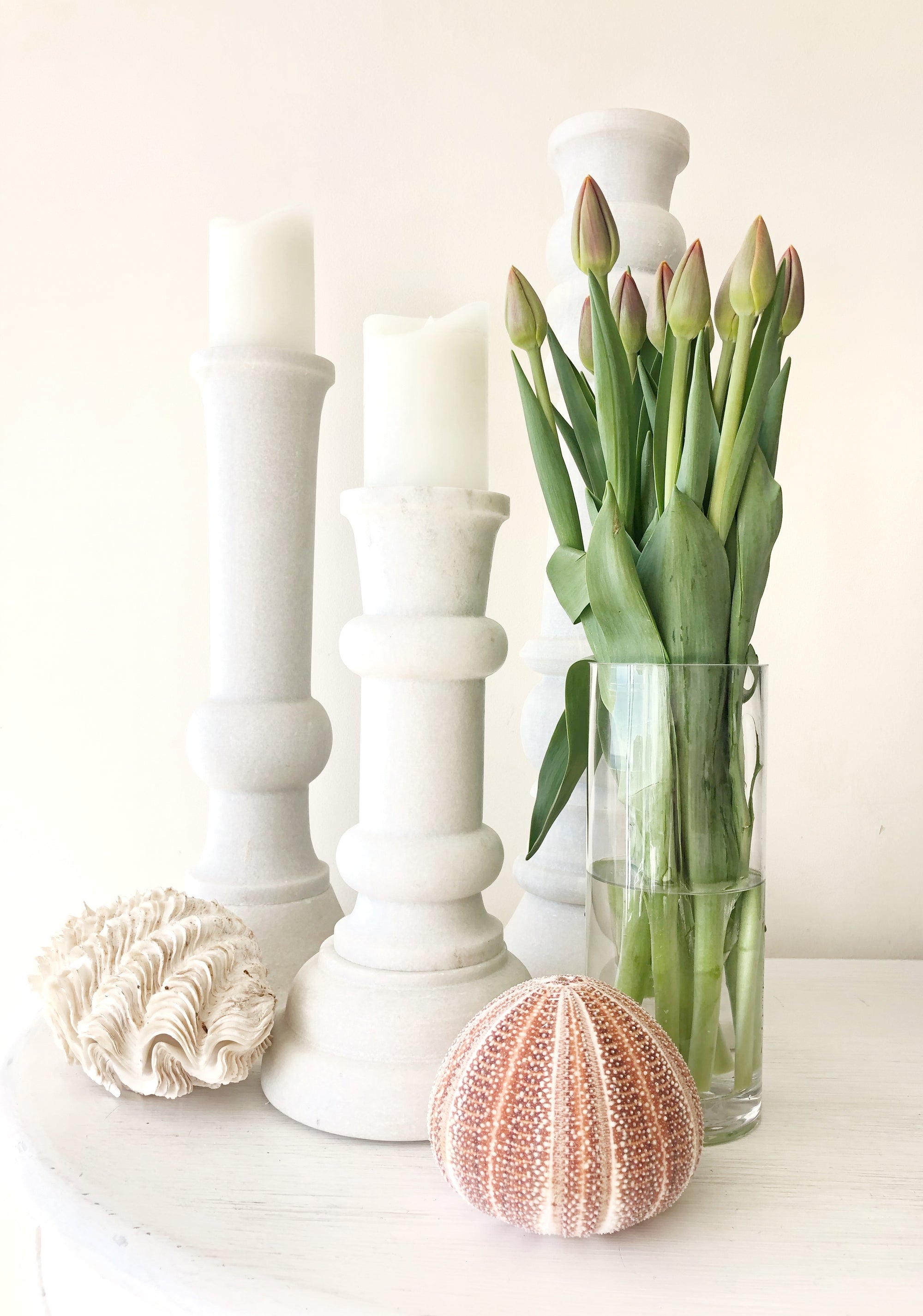 Real Giant Sea Urchin AKA Cornish Urchin