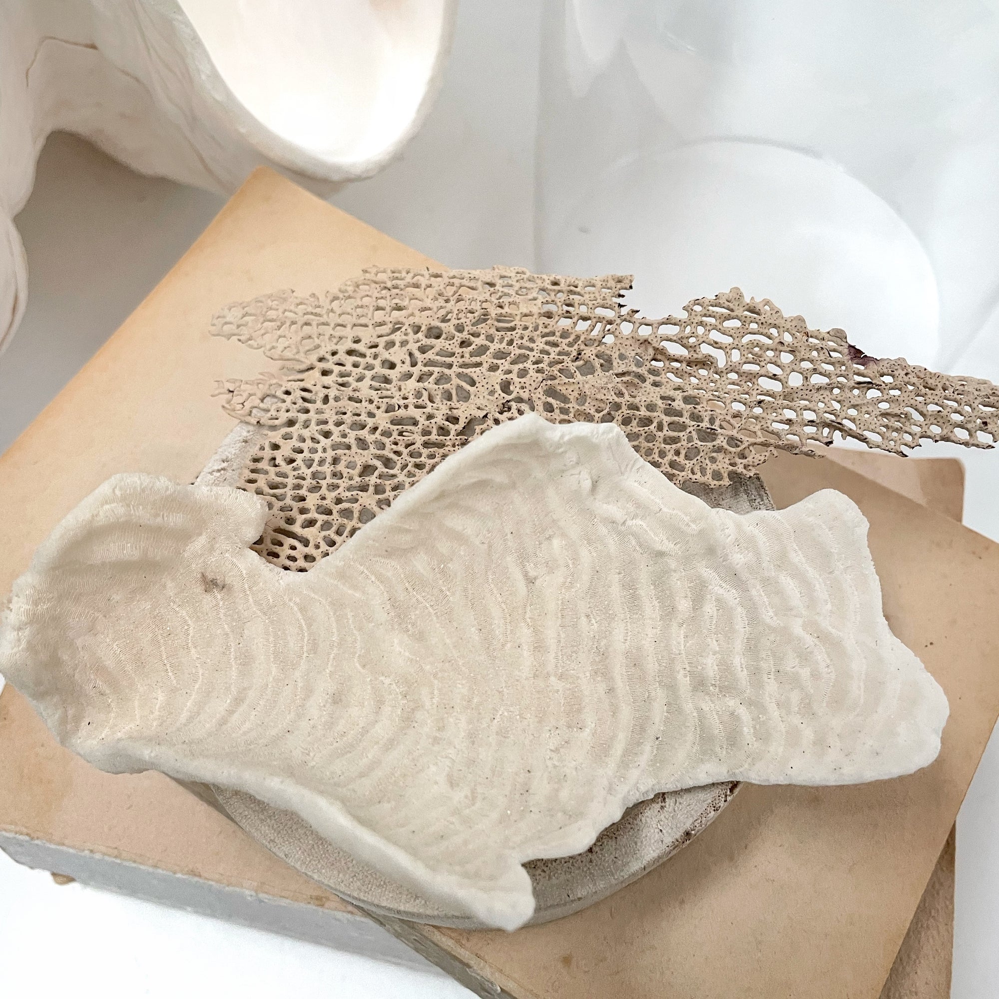 Turban Coral Mini Scroll