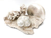 Real Polished Imperial Pearl Shell
