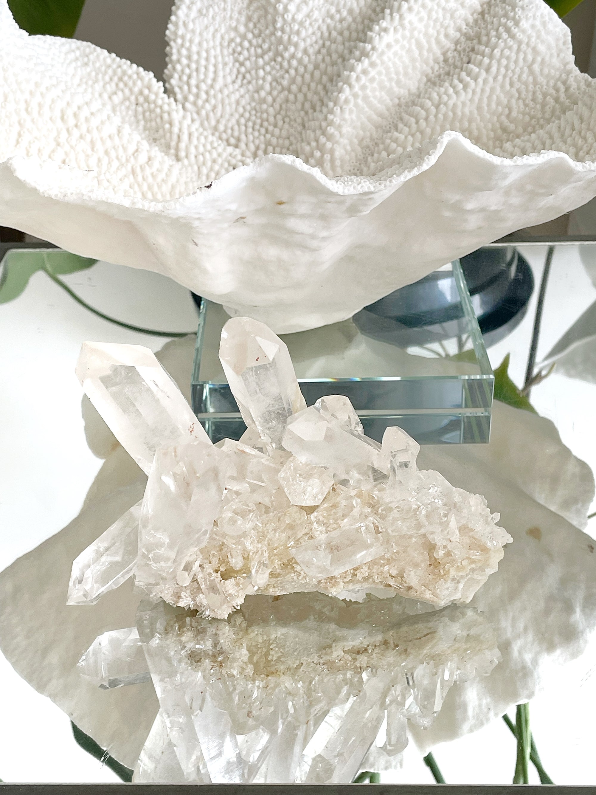 Feature Piece: Clear Quartz Cluster II - Crown Formation