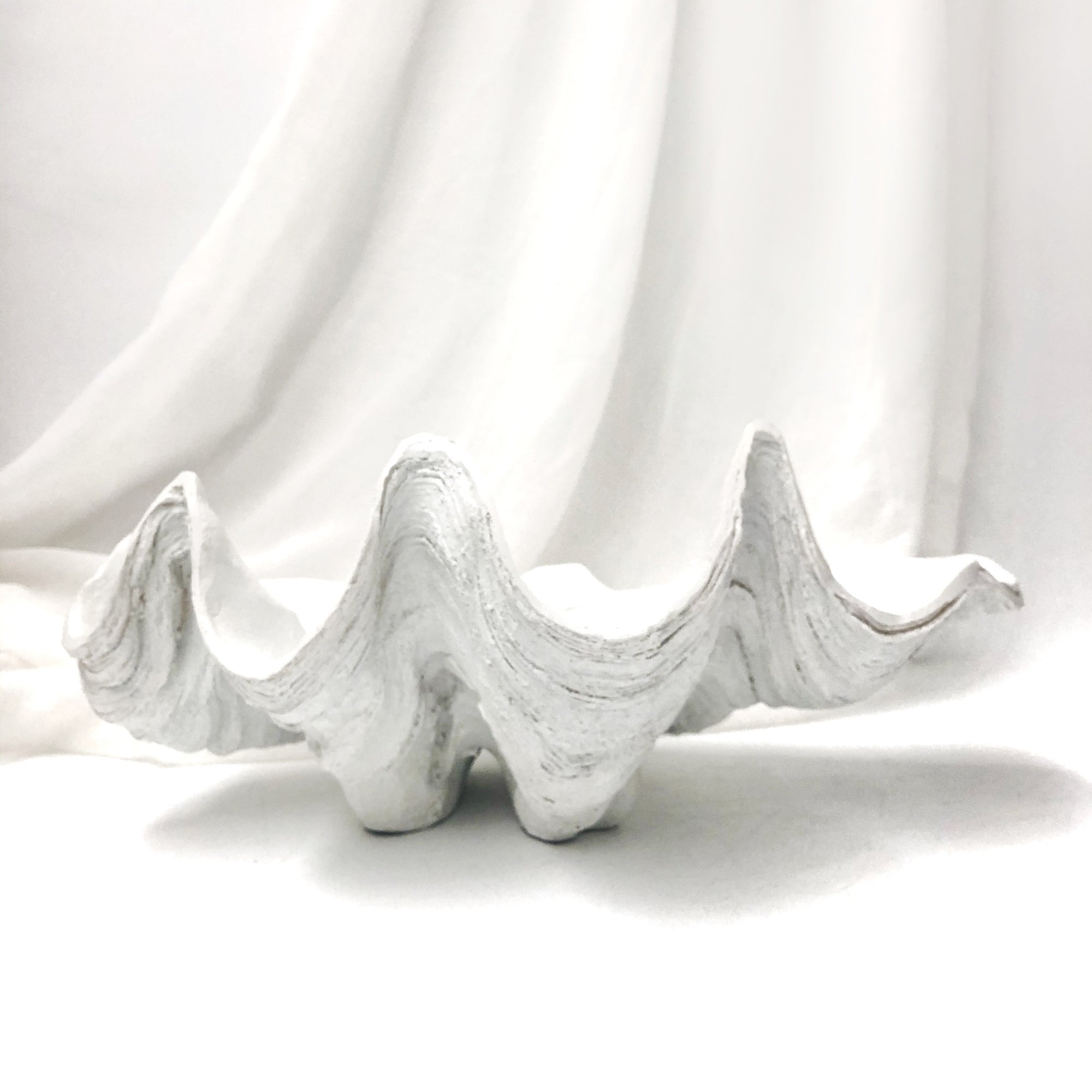 Resin Faux Giant Clamshell Clam White 41 CM