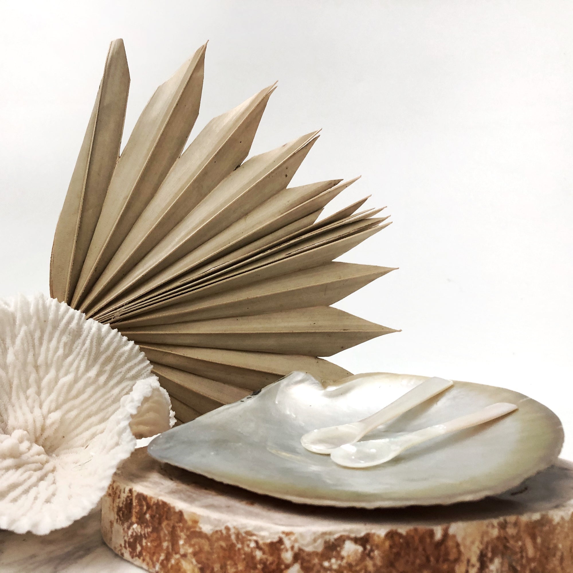 Extra Large Real Natural Pearl Shell Plate Caviar Server