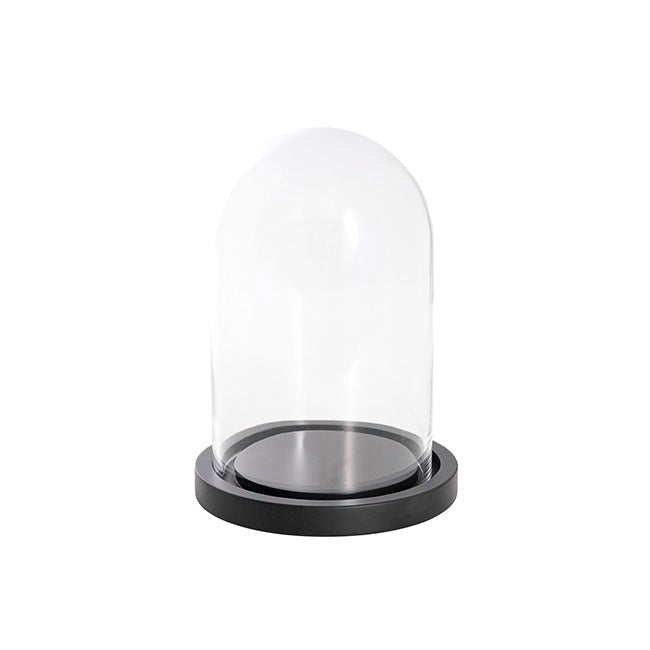 Glass Cloche Dome Terrarium 25 CM
