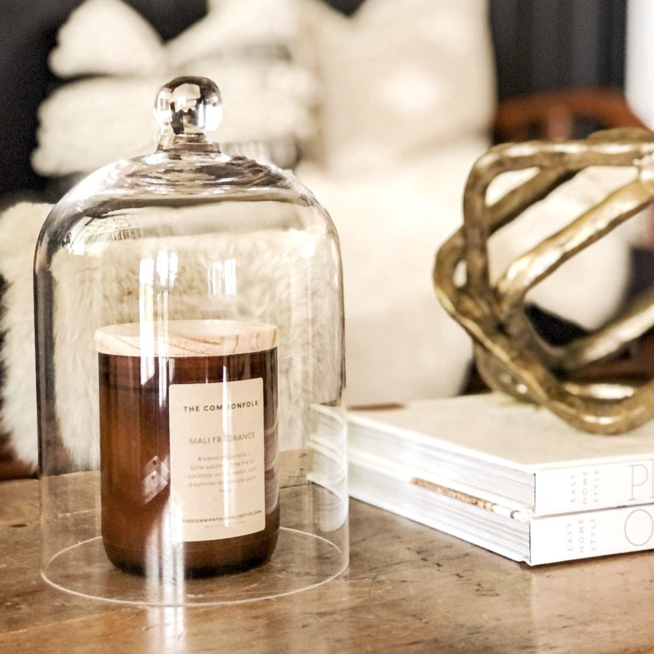 Small Glass Cloche Dome Terrarium