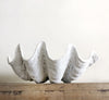 Resin Faux Giant Clamshell White 52 CM