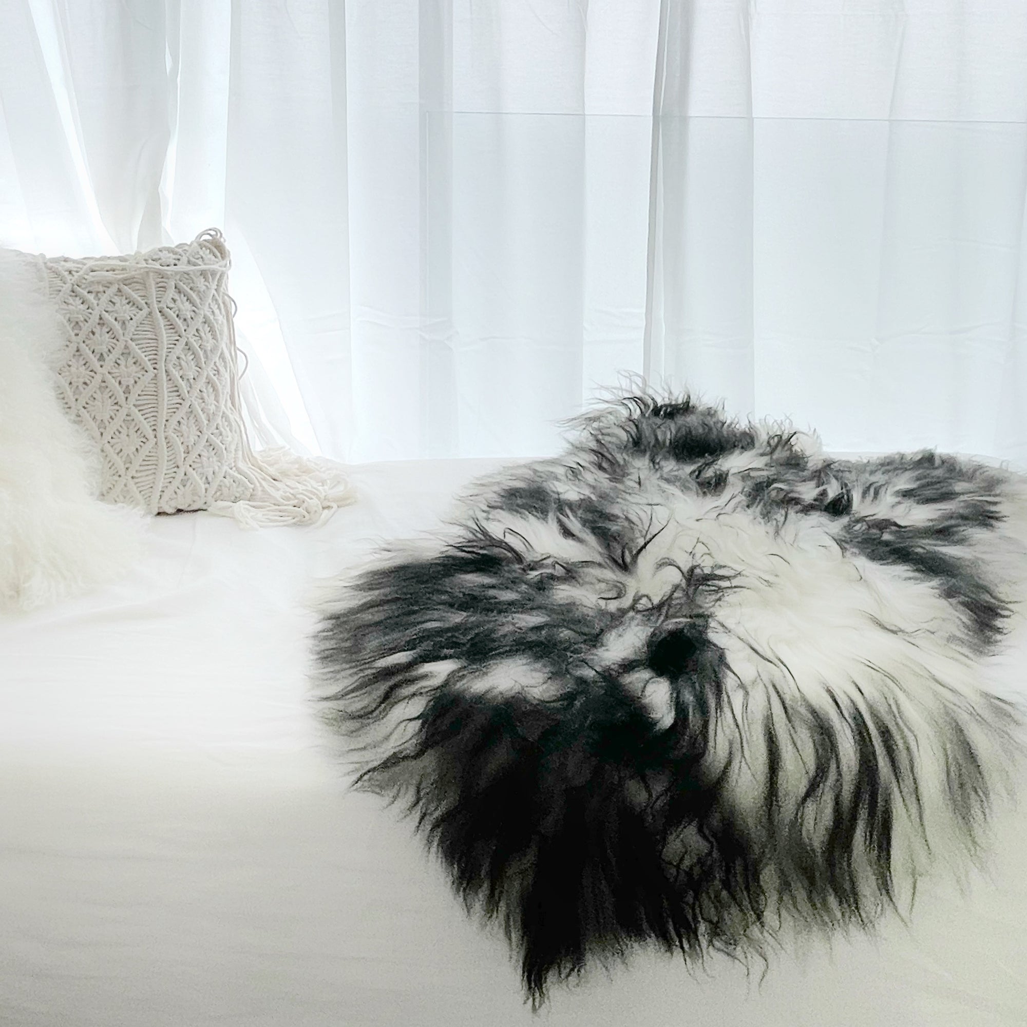 Icelandic Sheepskin - Black Tip