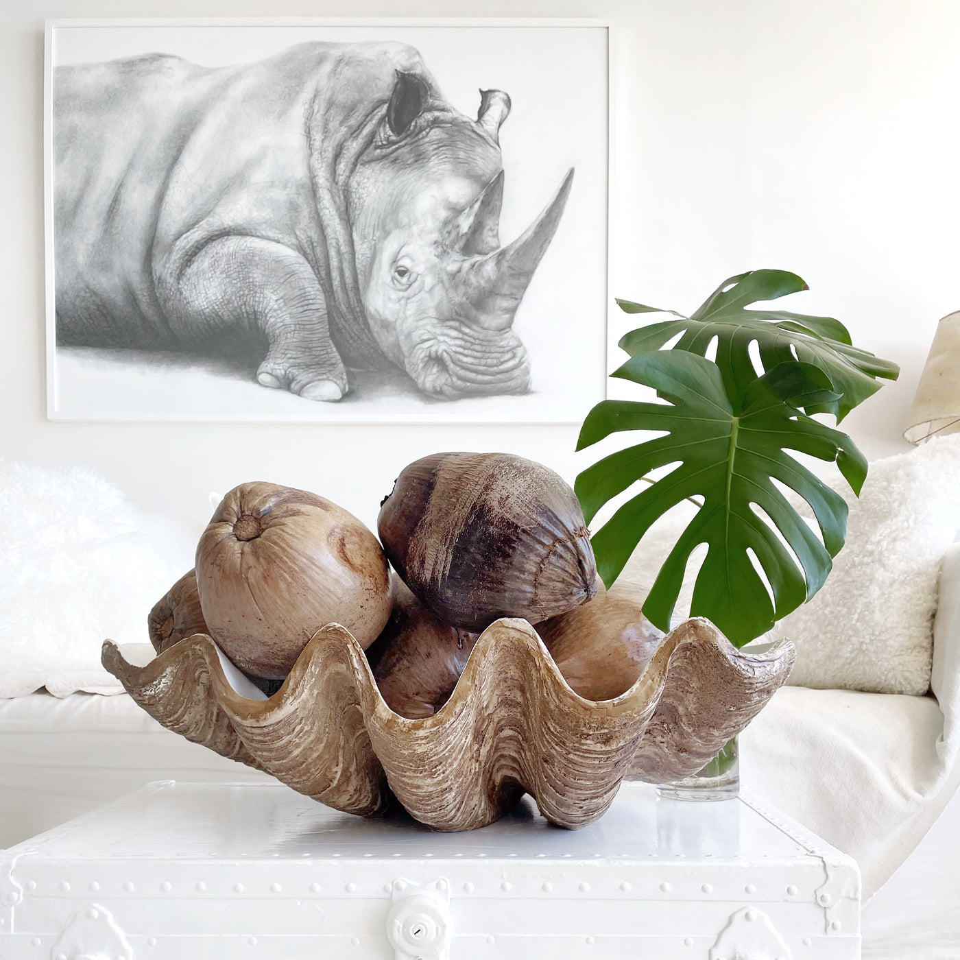 Resin Faux Giant Clamshell Clam 'Natural' 77 CM