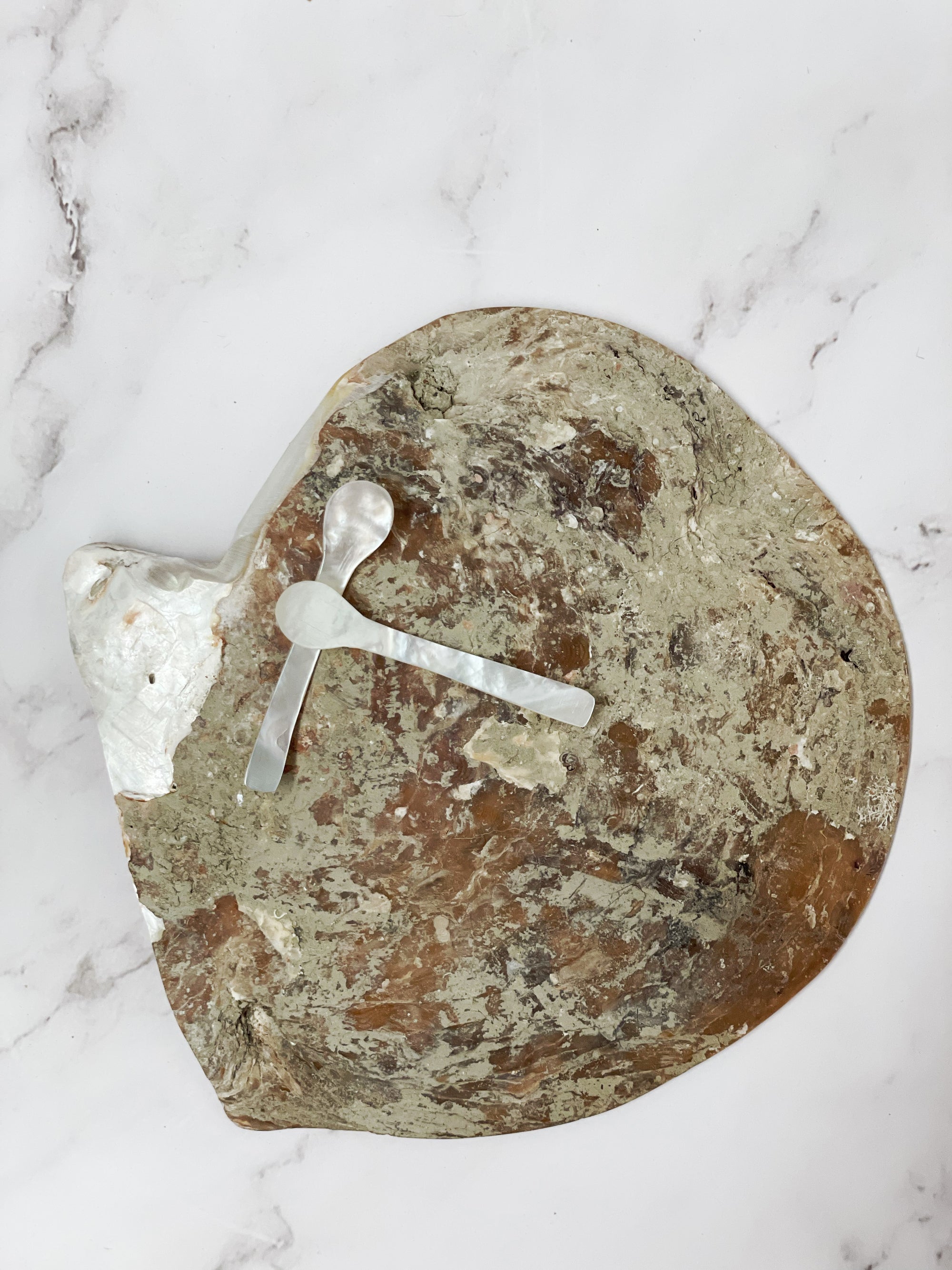 Extra Large Real Natural Pearl Shell Plate Caviar Server