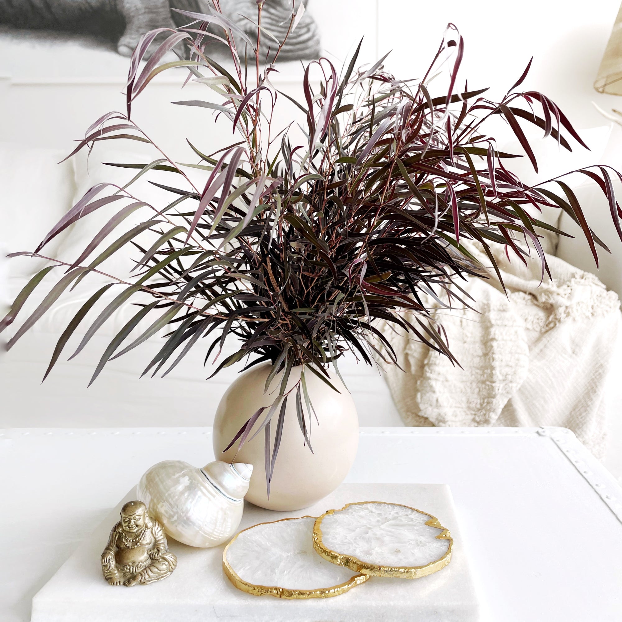 Gold Trim Fine Polished White Agate Coasters - Set 2