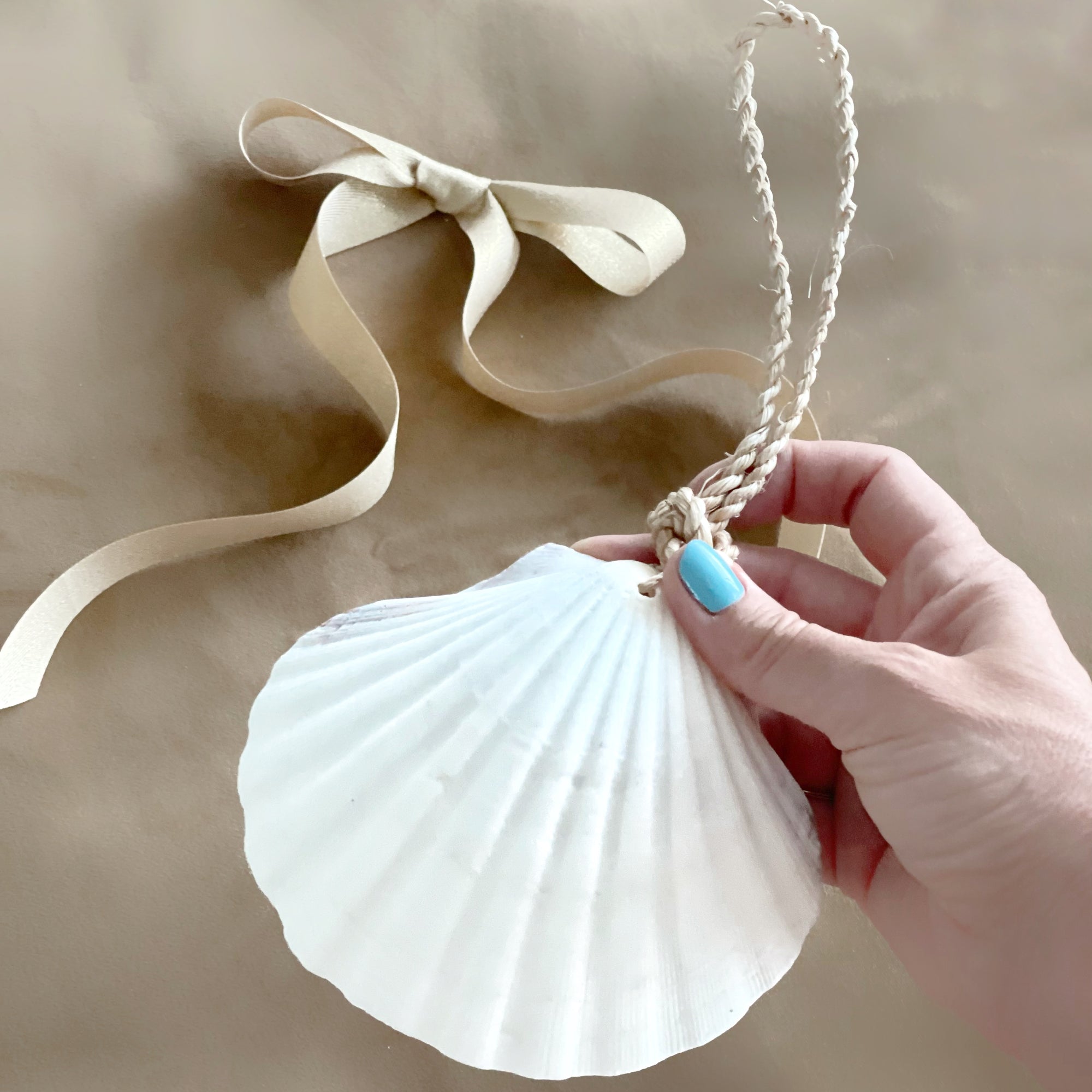 Large Hanging Scallop Real Shell Christmas Tree & Wall Decor
