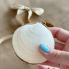 Real Shell Coin Purse with Metal Clip