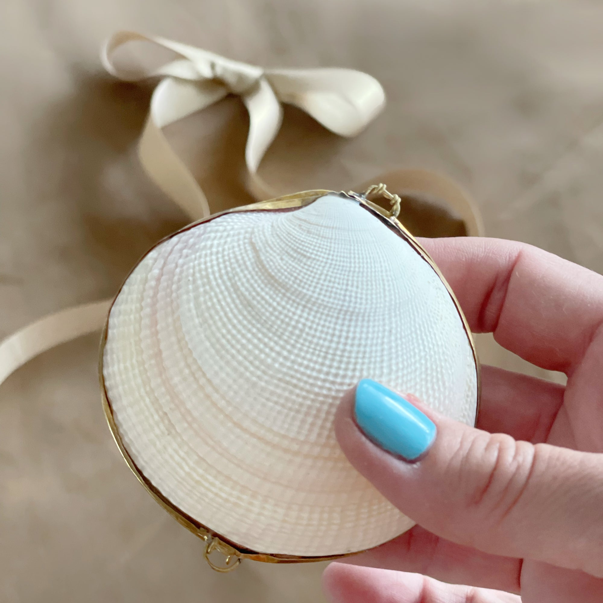 Pecten Shell Coin Purse with Key Chain