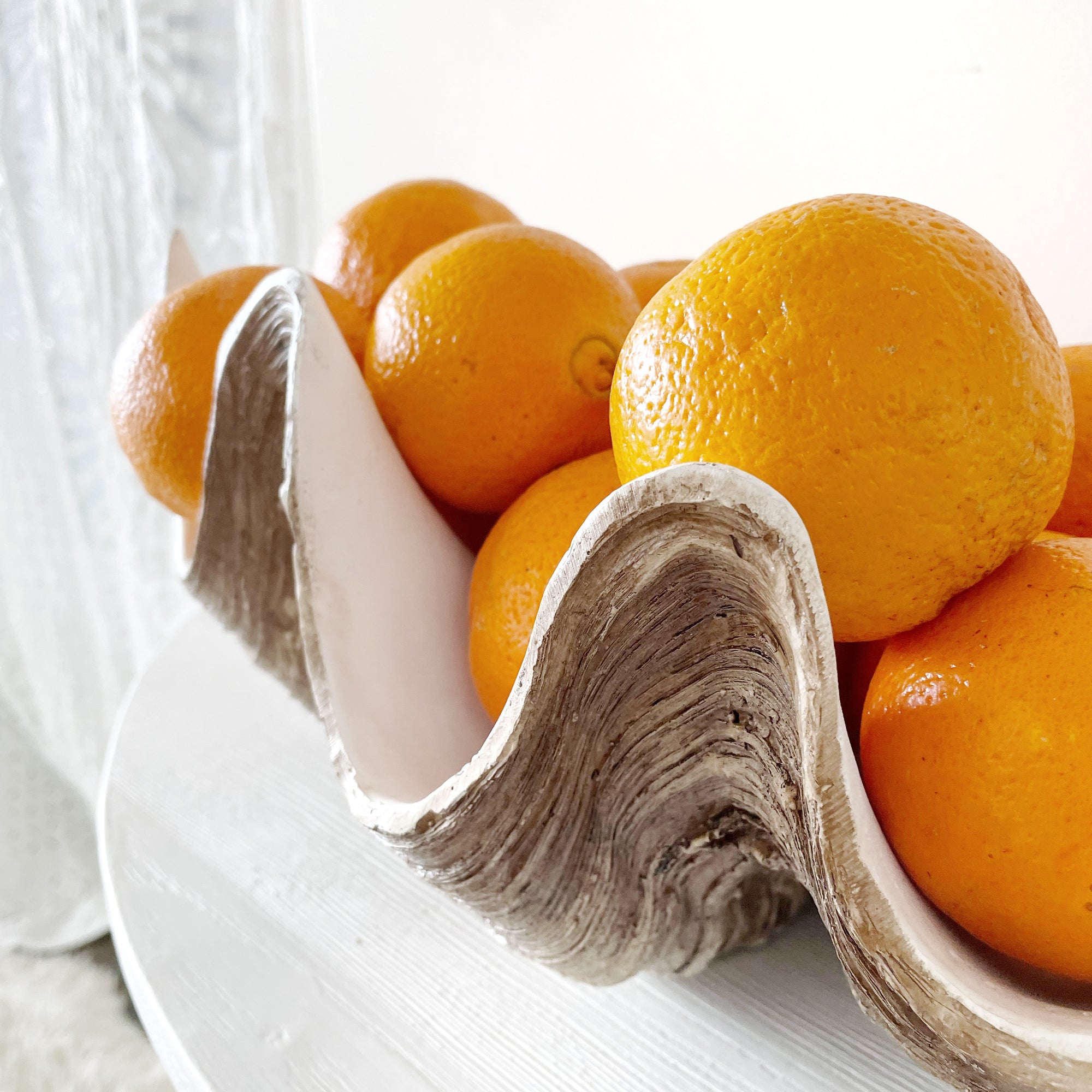 Resin Faux Giant Clamshell Clam 'Natural' 52 CM