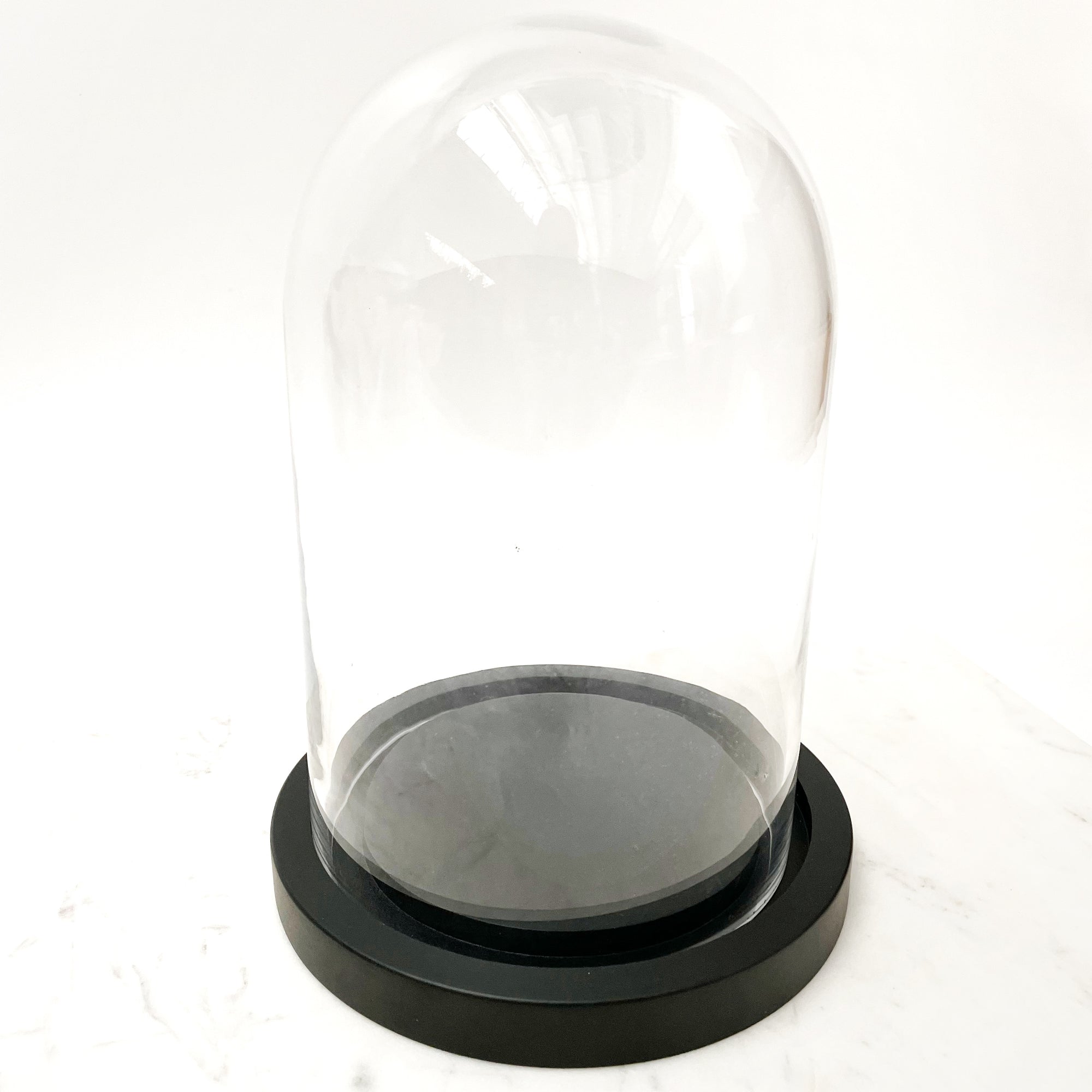 Glass Cloche Dome Terrarium 25 CM