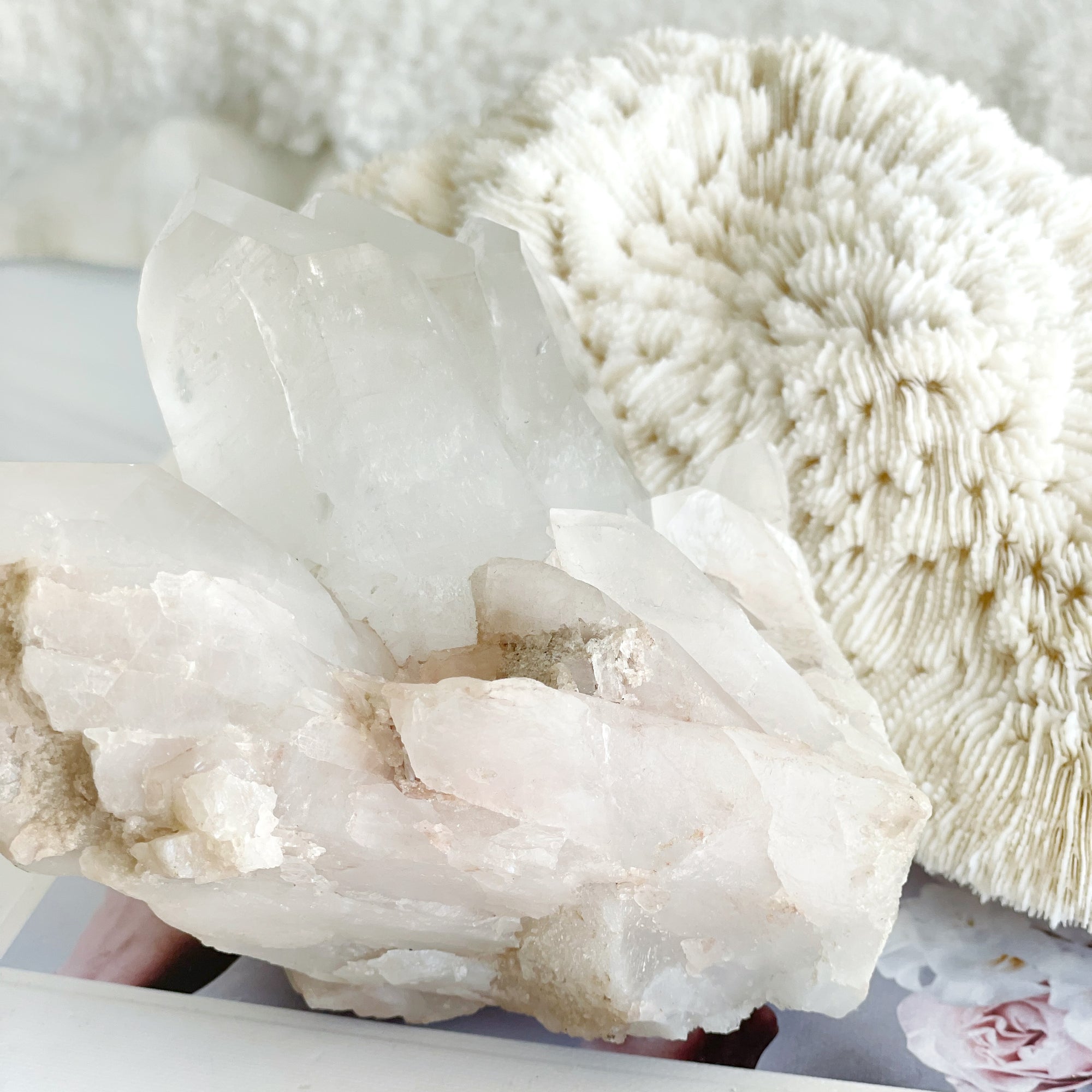 Himalayan Pink Quartz Crystal Cluster XII
