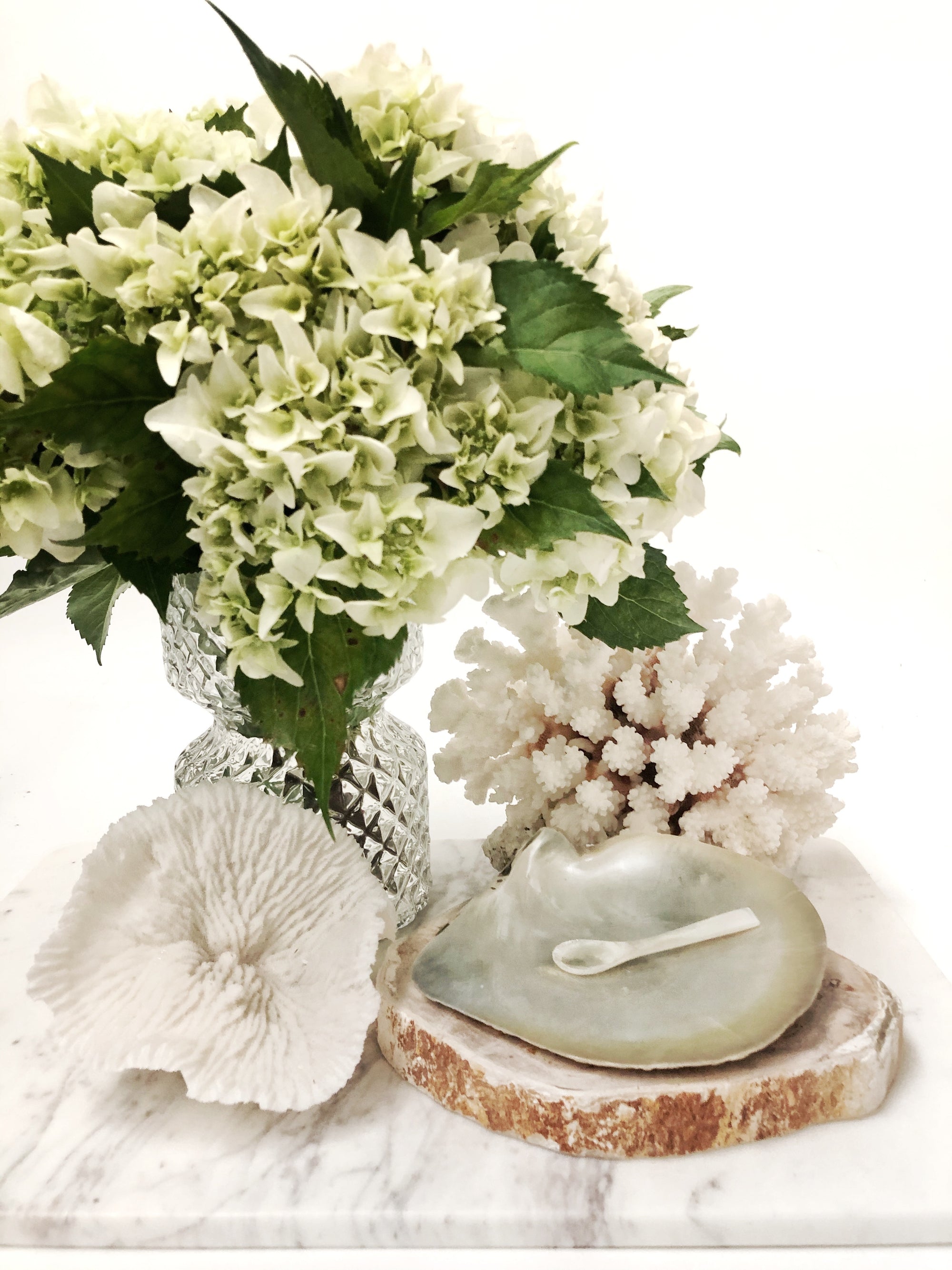 Extra Large Real Natural Pearl Shell Plate Caviar Server