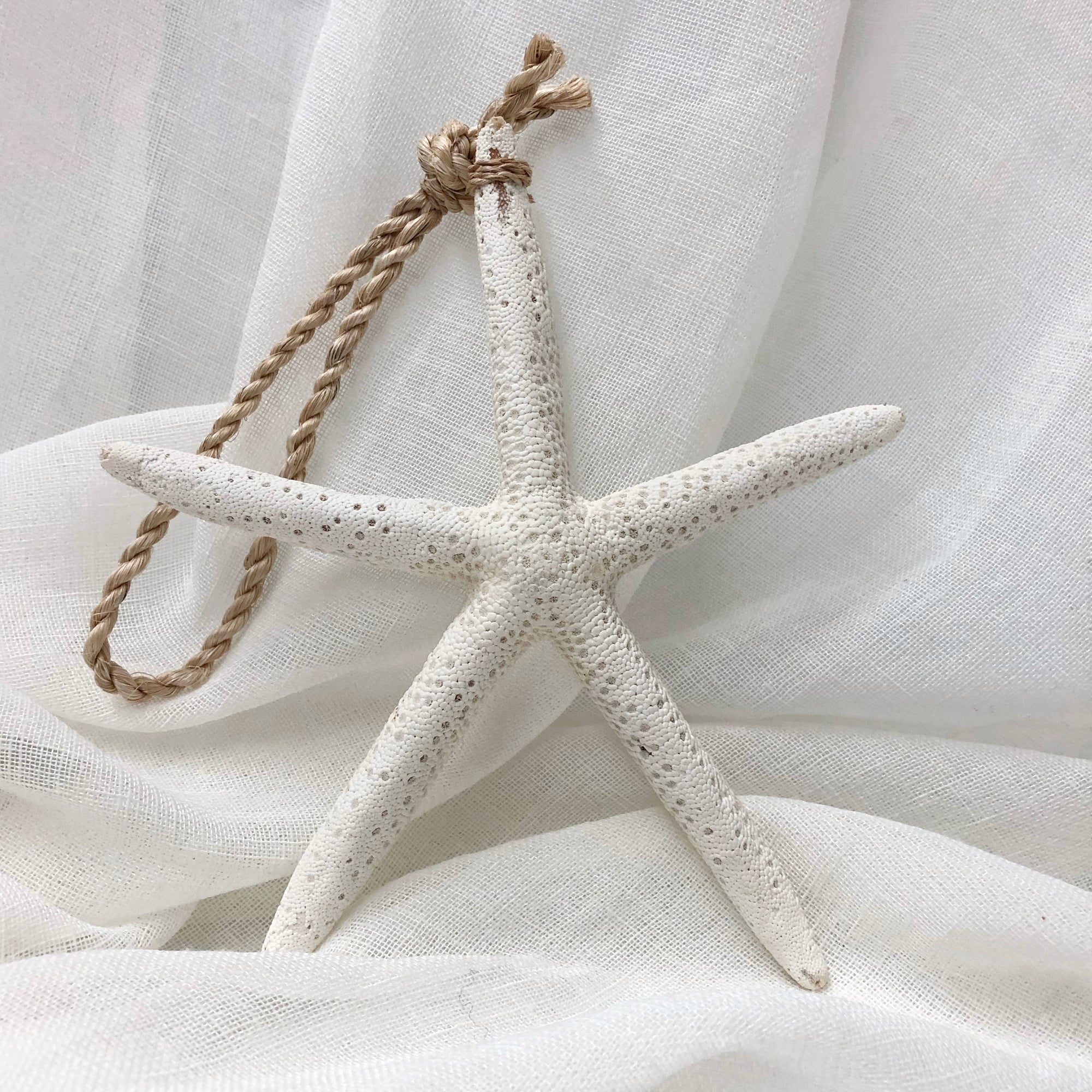 Large Starfish Hanging Christmas Tree Wall Decor
