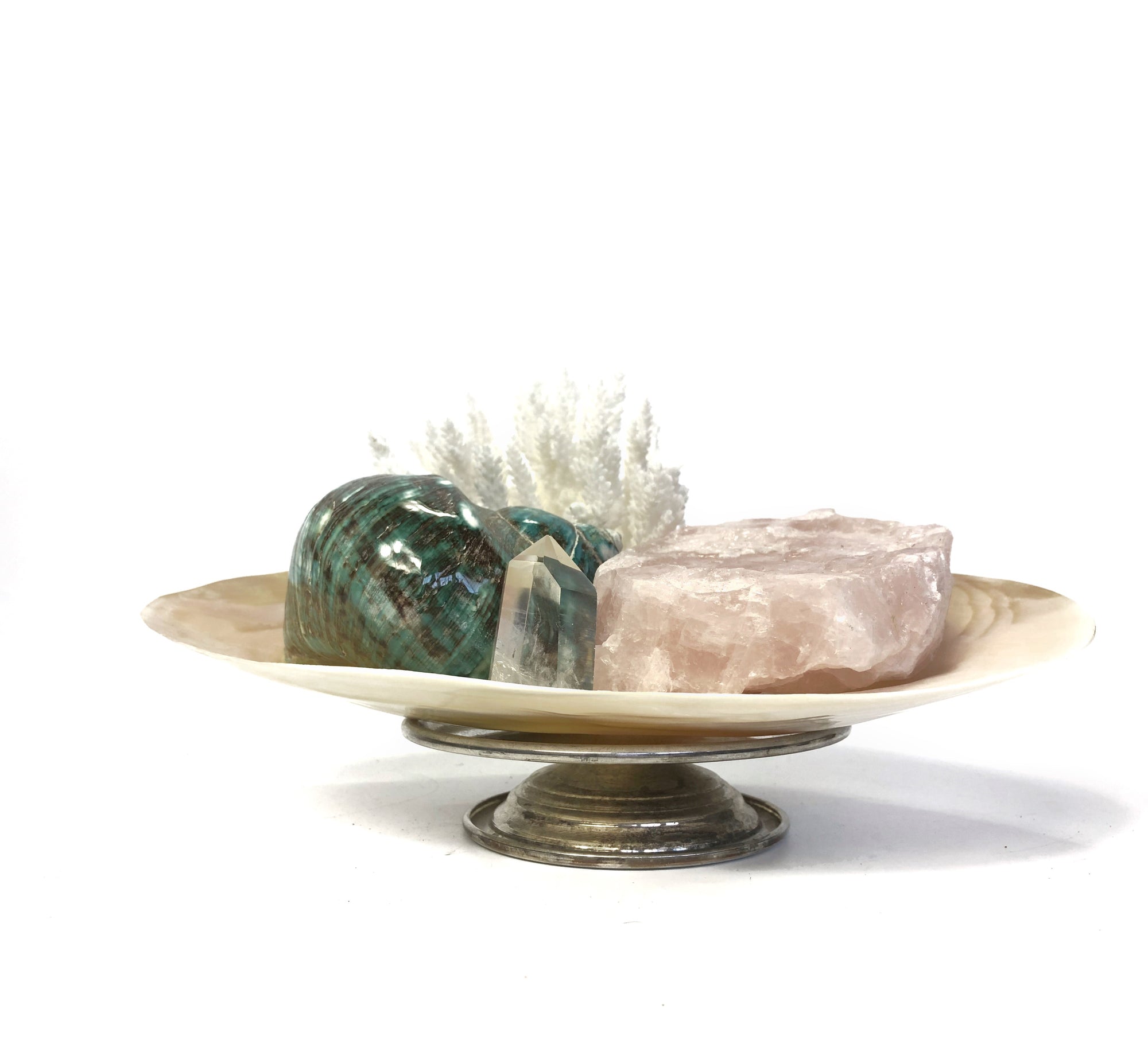 Real Polished River Shell