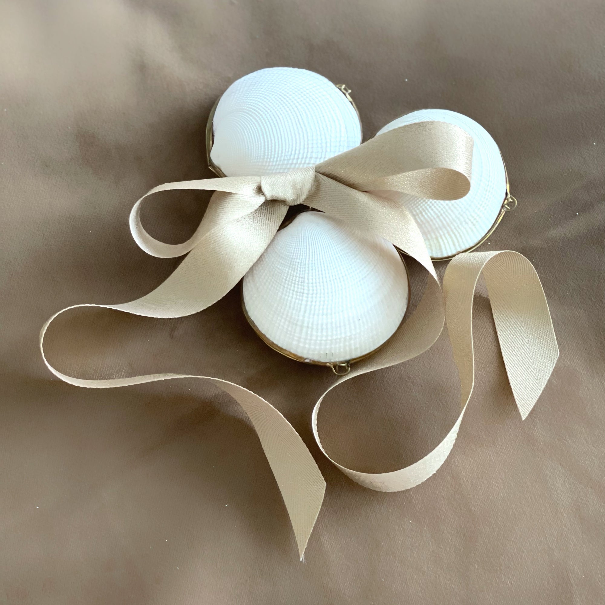 Real Shell Coin Purse with Metal Clip