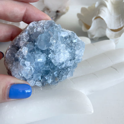 Celestite Crystal Cluster Geode XIII