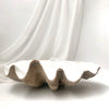 Resin Faux Giant Clamshell Clam 'Natural' 68 CM