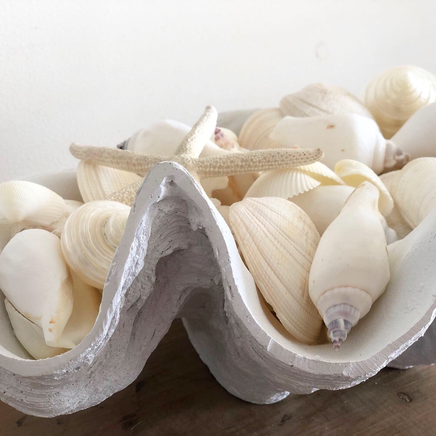 Resin Faux Giant Clamshell White 52 CM