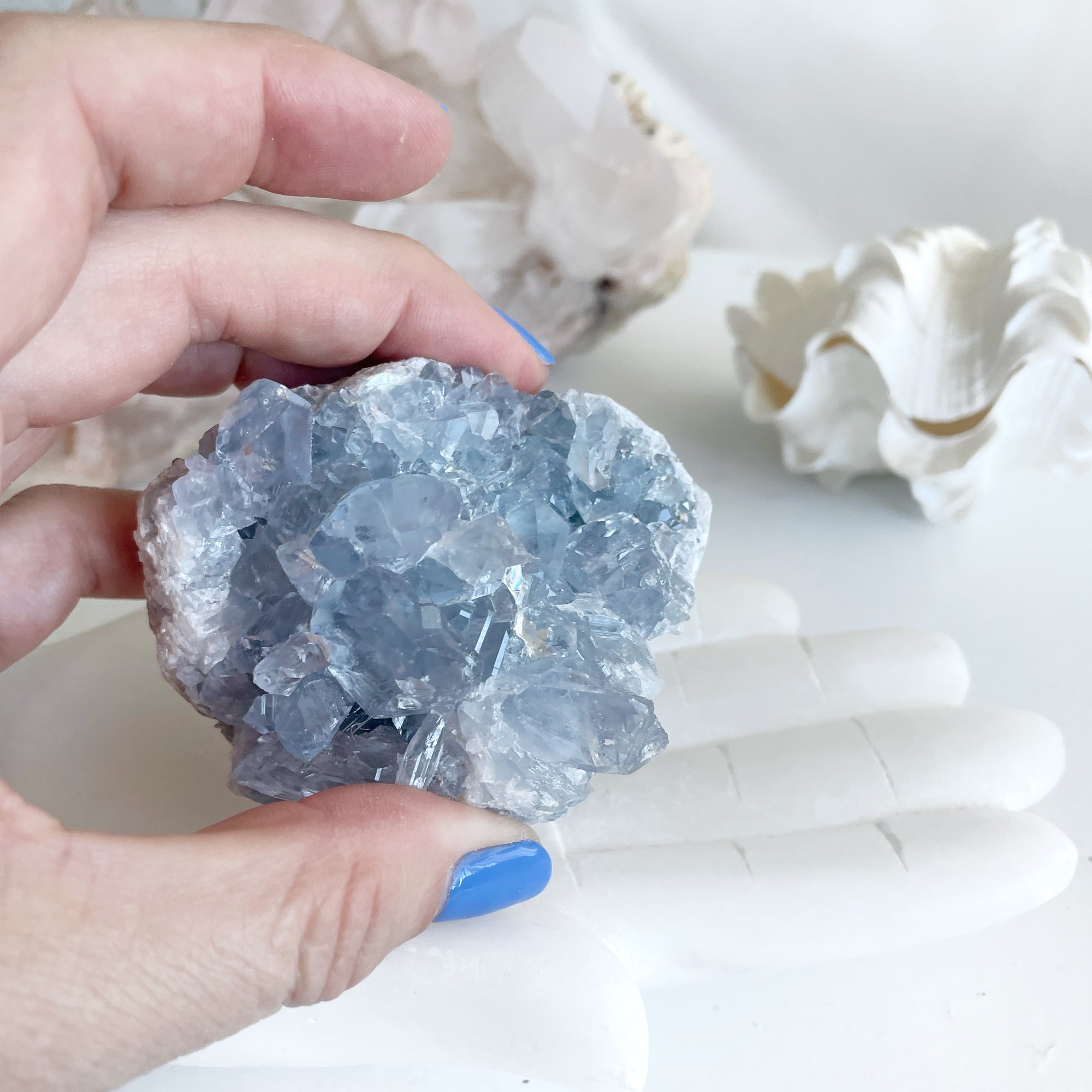 Celestite Crystal Cluster Geode XV