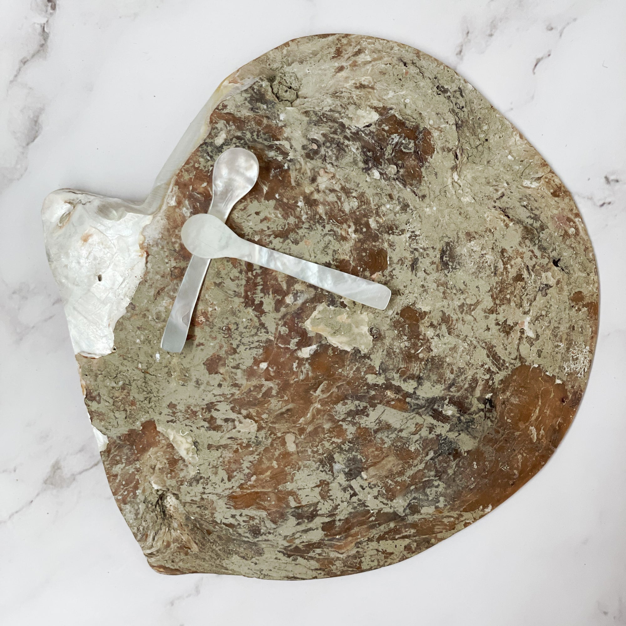 Mother of Pearl Caviar Spoons (Boxed Set 2)