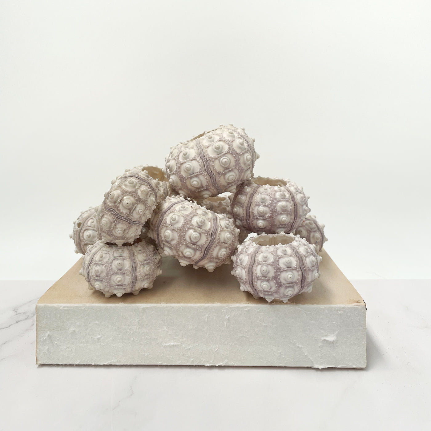 Sputnik Sea Urchin Set 5