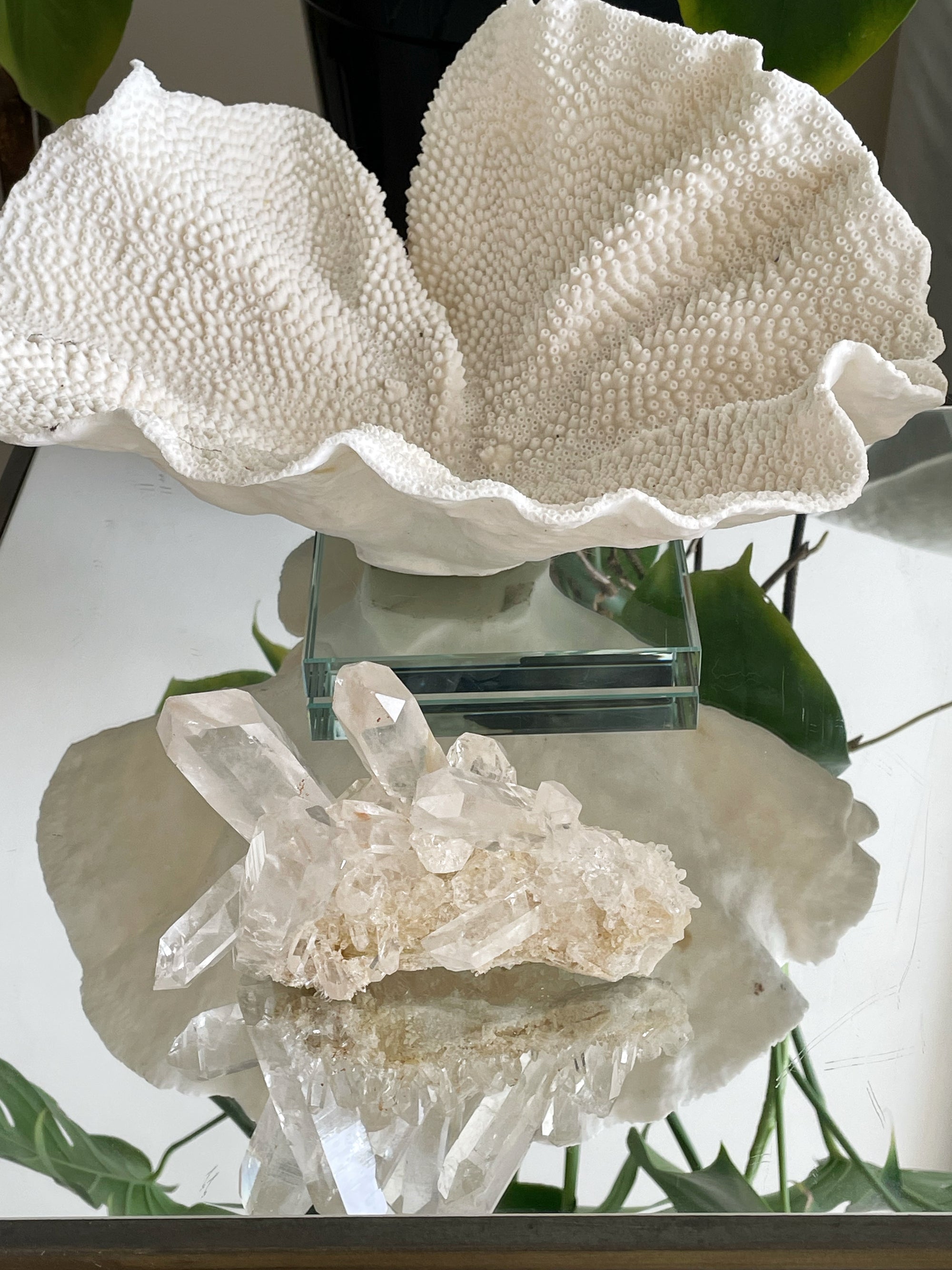 Feature Piece: Clear Quartz Cluster II - Crown Formation