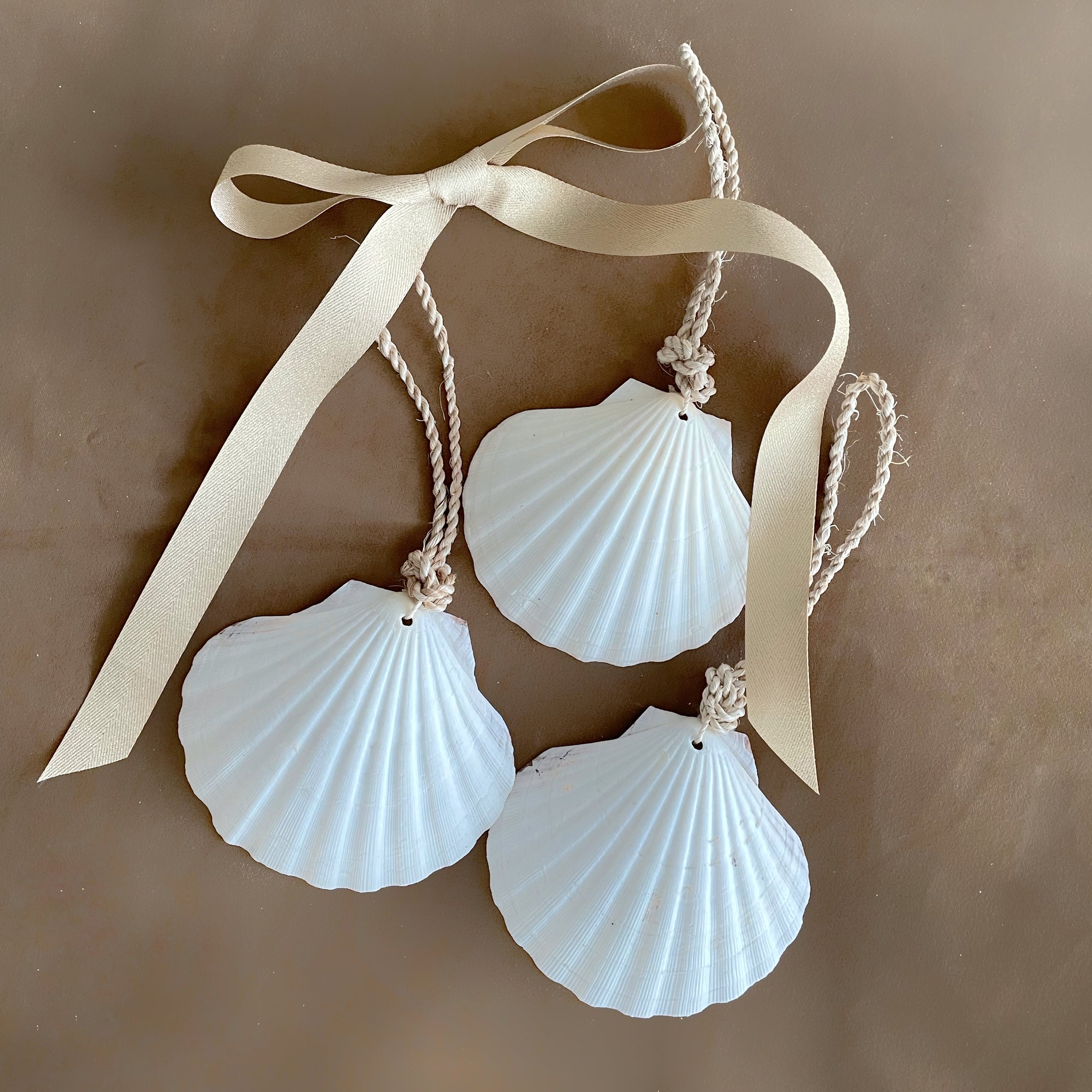 Large Hanging Scallop Real Shell Christmas Tree & Wall Decor