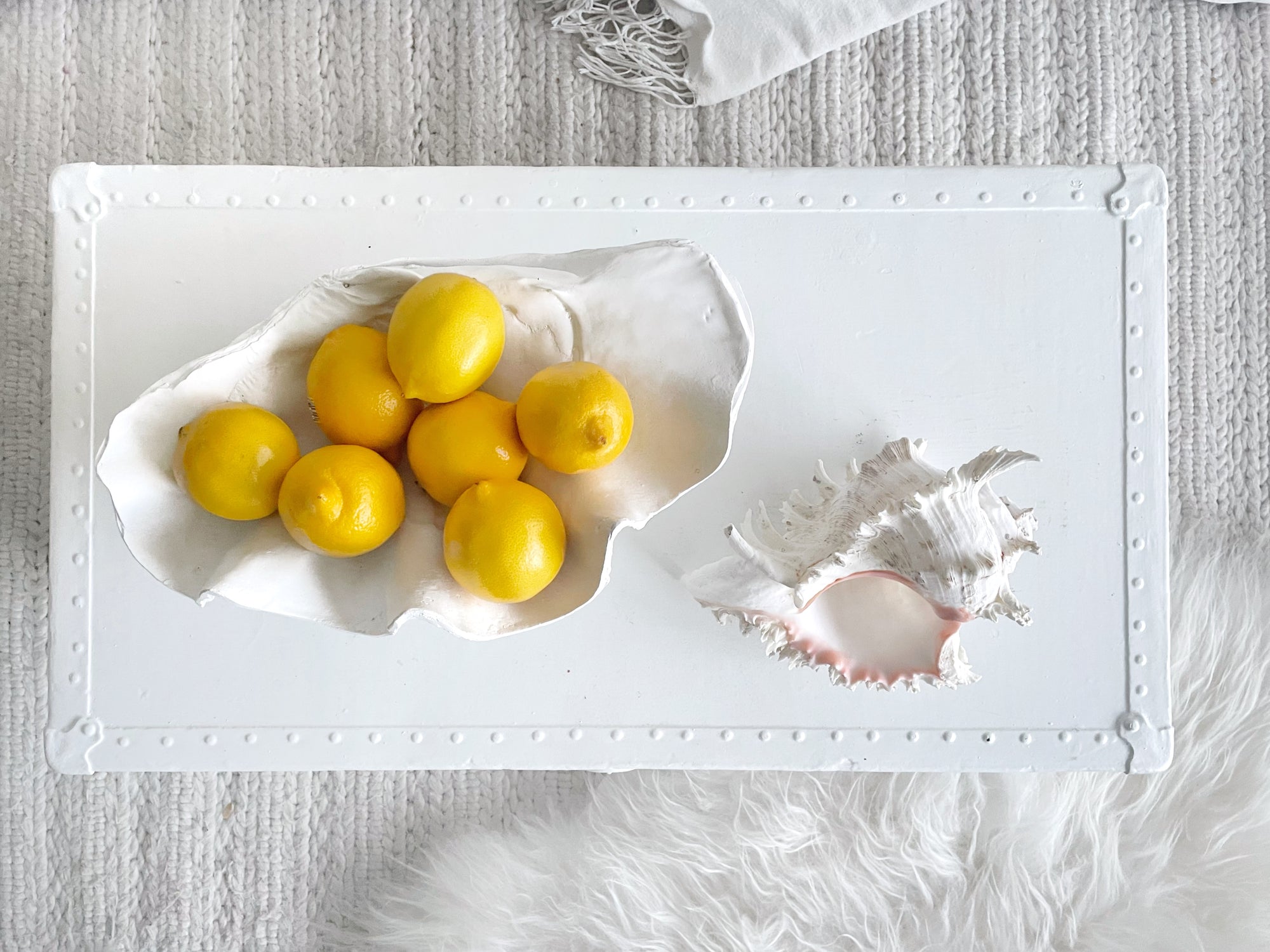 Resin Faux Giant Clamshell Clam White 41 CM