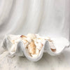 Mixed Bag Premium White Shells