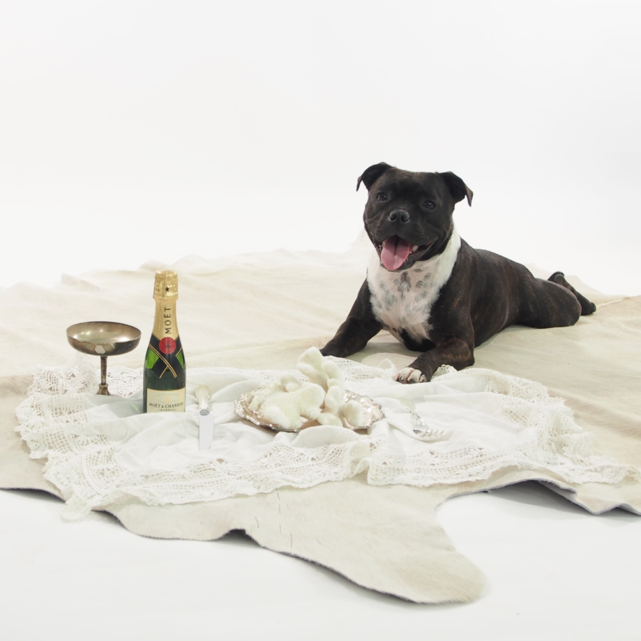 Premium Cowhide - Natural Cream