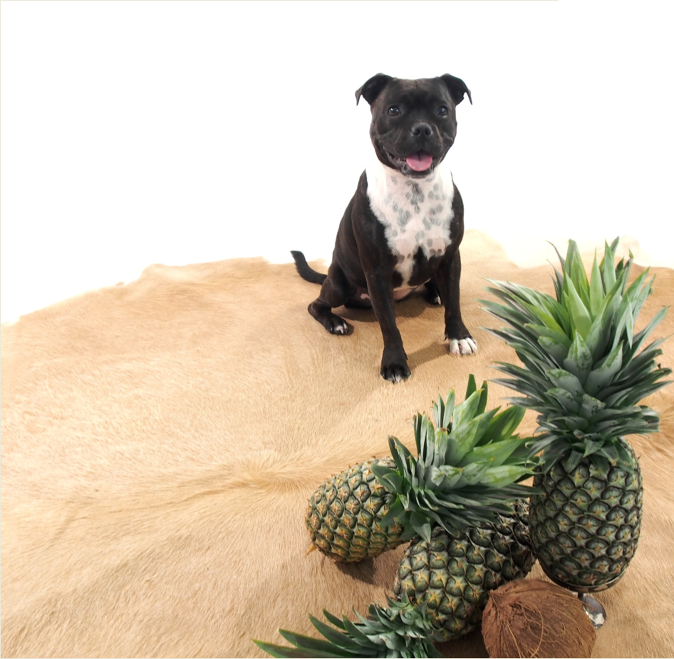 Premium Cowhide - Natural Tan